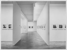 Installation photo, 8 of 27