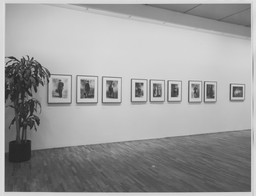 Installation photo, 19 of 27
