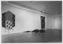 Installation photo, 14 of 16