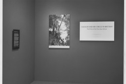 The Museum of Modern Art Archives, New York