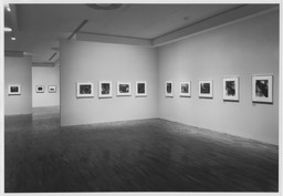 Installation photo, 6 of 14