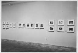 Installation photo, 13 of 14