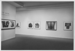 Installation photo, 3 of 7