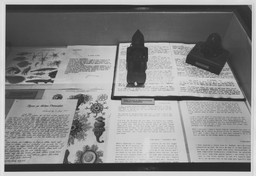 Installation photo, 7 of 12
