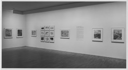 Installation photo, 3 of 35