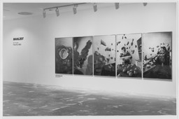 Installation photo, 2 of 5