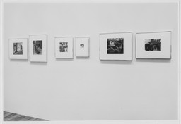 Installation photo, 7 of 29