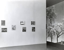 Installation photo, 3 of 48
