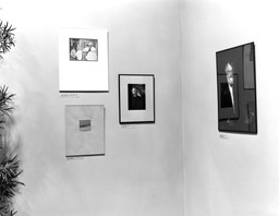 Installation photo, 26 of 48