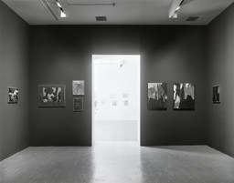 Installation photo, 31 of 48