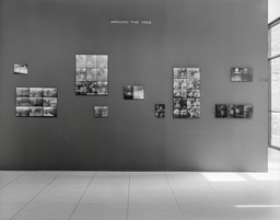 Installation photo, 44 of 48