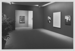 Installation photo, 4 of 35