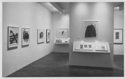 Installation photo, 14 of 27