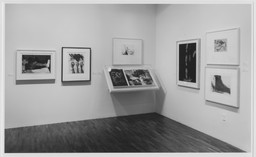 Installation photo, 23 of 27