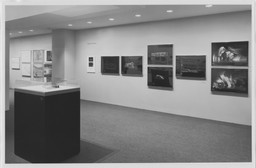 Installation photo, 8 of 12