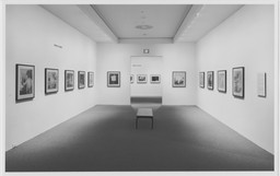 Installation photo, 6 of 19