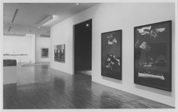 Installation photo, 50 of 69