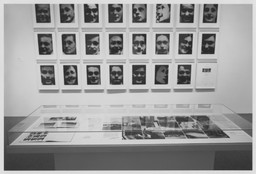 Installation photo, 8 of 16