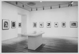 Installation photo, 10 of 14