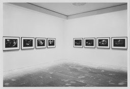 Installation photo, 6 of 8