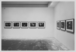 Installation photo, 7 of 8