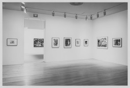Installation photo, 6 of 13