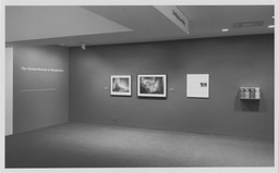 Installation photo, 2 of 11