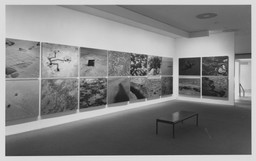 Installation photo, 5 of 12