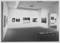 Installation photo, 8 of 12