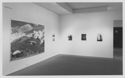 Installation photo, 10 of 12