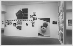Installation photo, 11 of 12