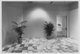 The Museum of Modern Art Archives, New York