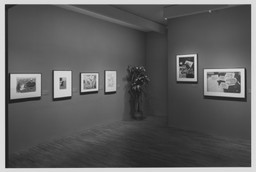 Installation photo, 8 of 18