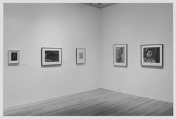 Installation photo, 5 of 13