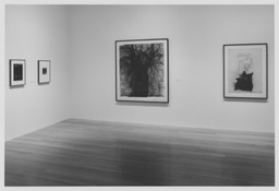 Installation photo, 7 of 11