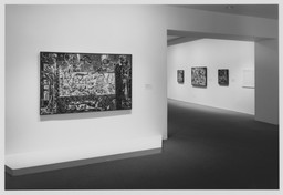 Installation photo, 11 of 66