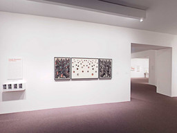 Installation photo, 192 of 368