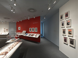 Installation photo, 4 of 45