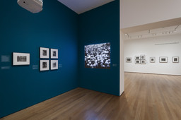 Installation photo, 49 of 50