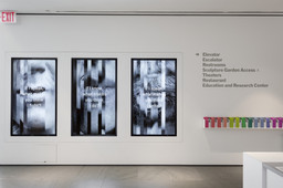 Installation photo, 19 of 41