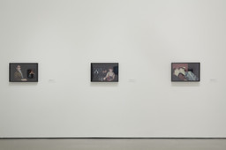 Installation photo, 21 of 43