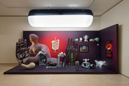 Installation photo, 6 of 8