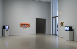 Installation photo, 31 of 42