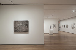 Installation photo, 18 of 23