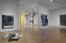 Installation photo, 3 of 46