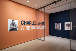 Installation photo, 1 of 59