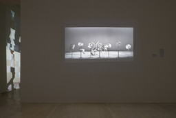 Installation photo, 78 of 165