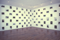 Installation photo, 78 of 82