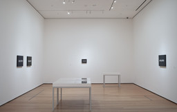 Installation photo, 195 of 222