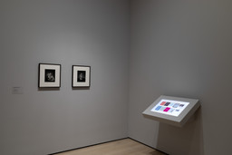 Installation photo, 64 of 86